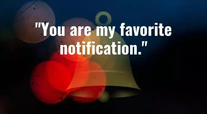You are my favorite notification.