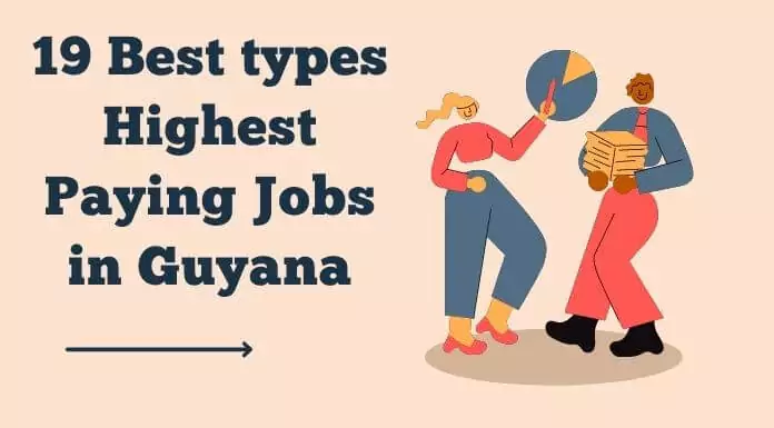 19 Best types Highest Paying Jobs in Guyana