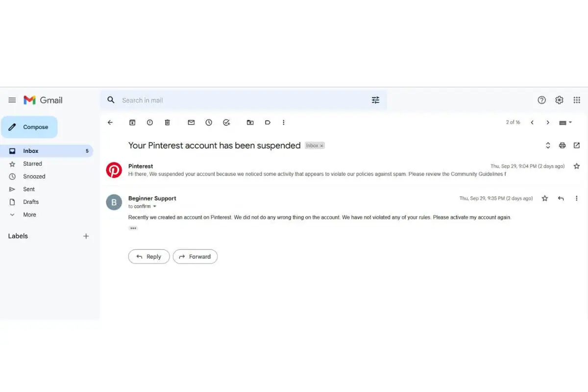 Account suspended email sent by Pinterest
